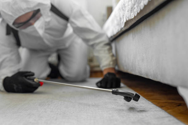 Professional Cockroach Control technician working in Woodland, WA